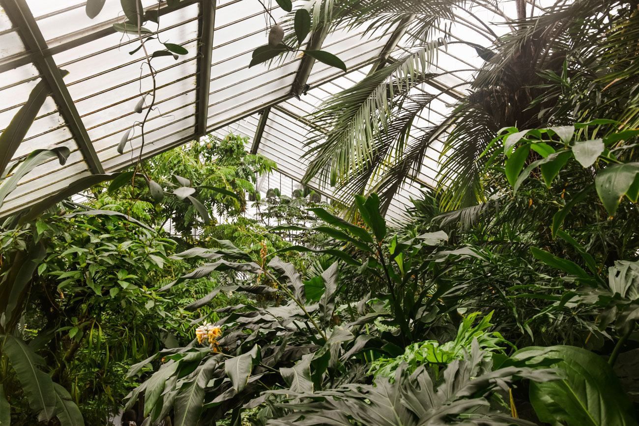 Un Dimanche à Kew Gardens, Les Jardins Botaniques Royaux De Londres